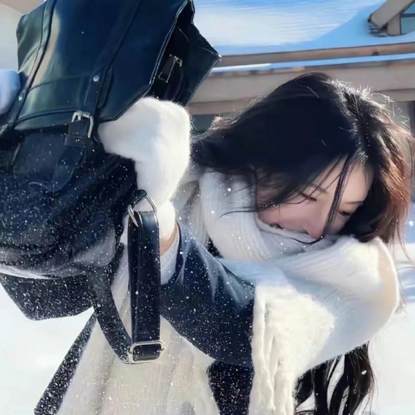 秘密同盟